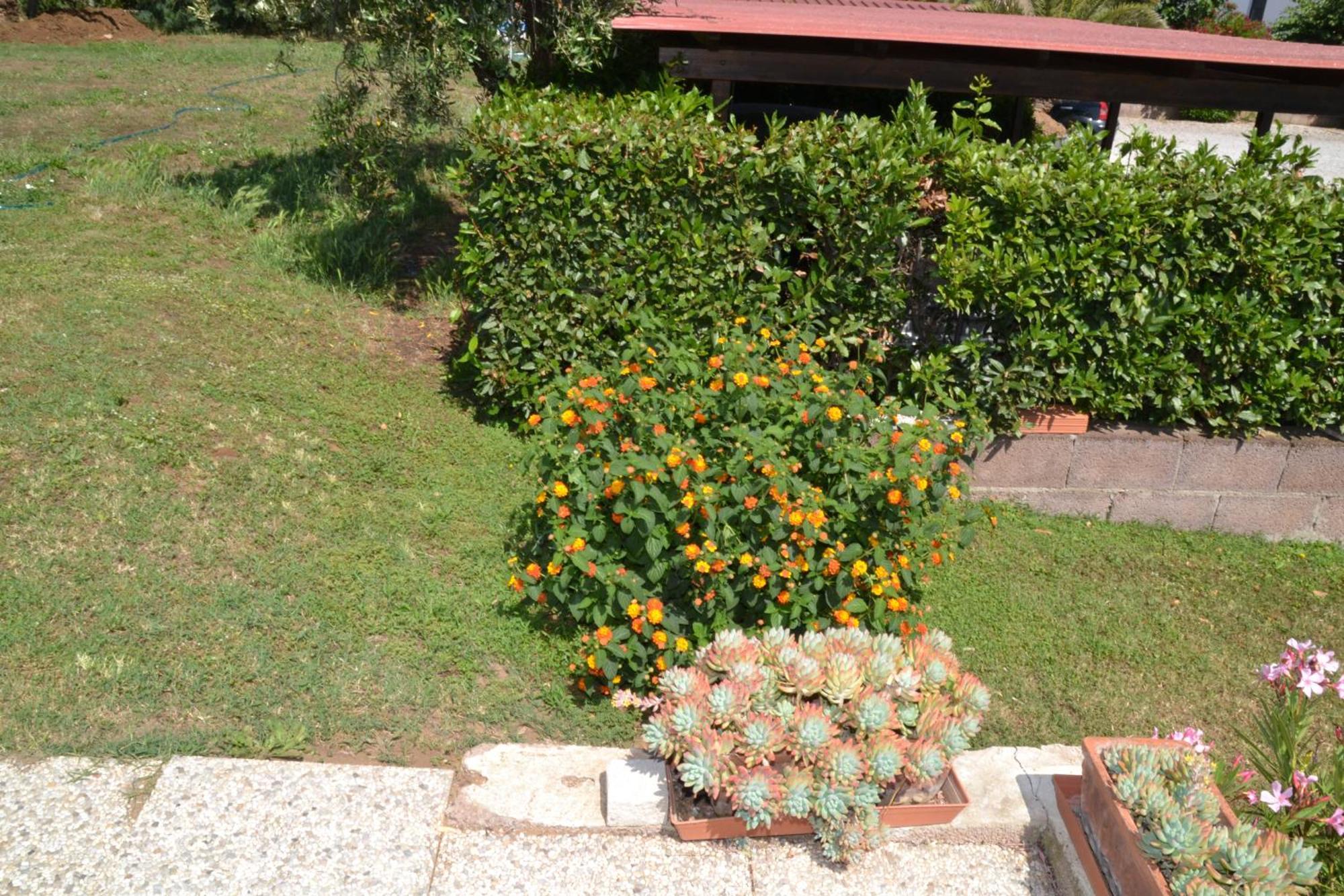 Hotel La Mimosa Bolgheri Exteriér fotografie